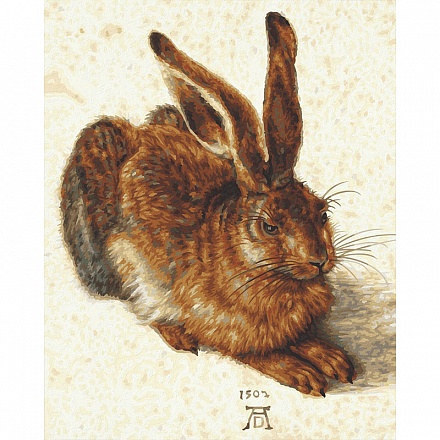 Картина для раскрашивания по номерам Заяц по мотивам Альбрехта Дюрера, 40 х 50 см. 